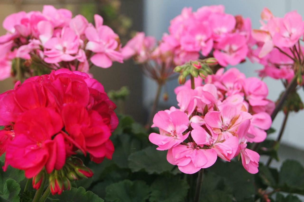 Gartenzimmer Rubigen Εξωτερικό φωτογραφία